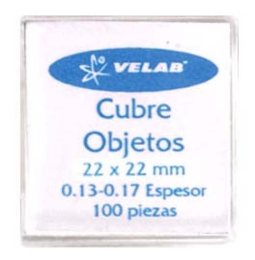 Cubre Objetos Vela Quin 22X22 Mm paquete c/100 pi